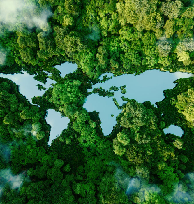 CDP-Karbon Saydamlık Projesi Danışmanlığı