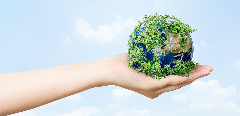 Karbon Ticareti Ve Karbon Ölçümü Sonrası Destek Programları Danışmanlığı