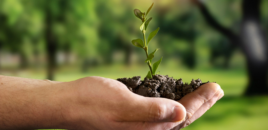 Sürdürülebilirlik Danışmanlığı